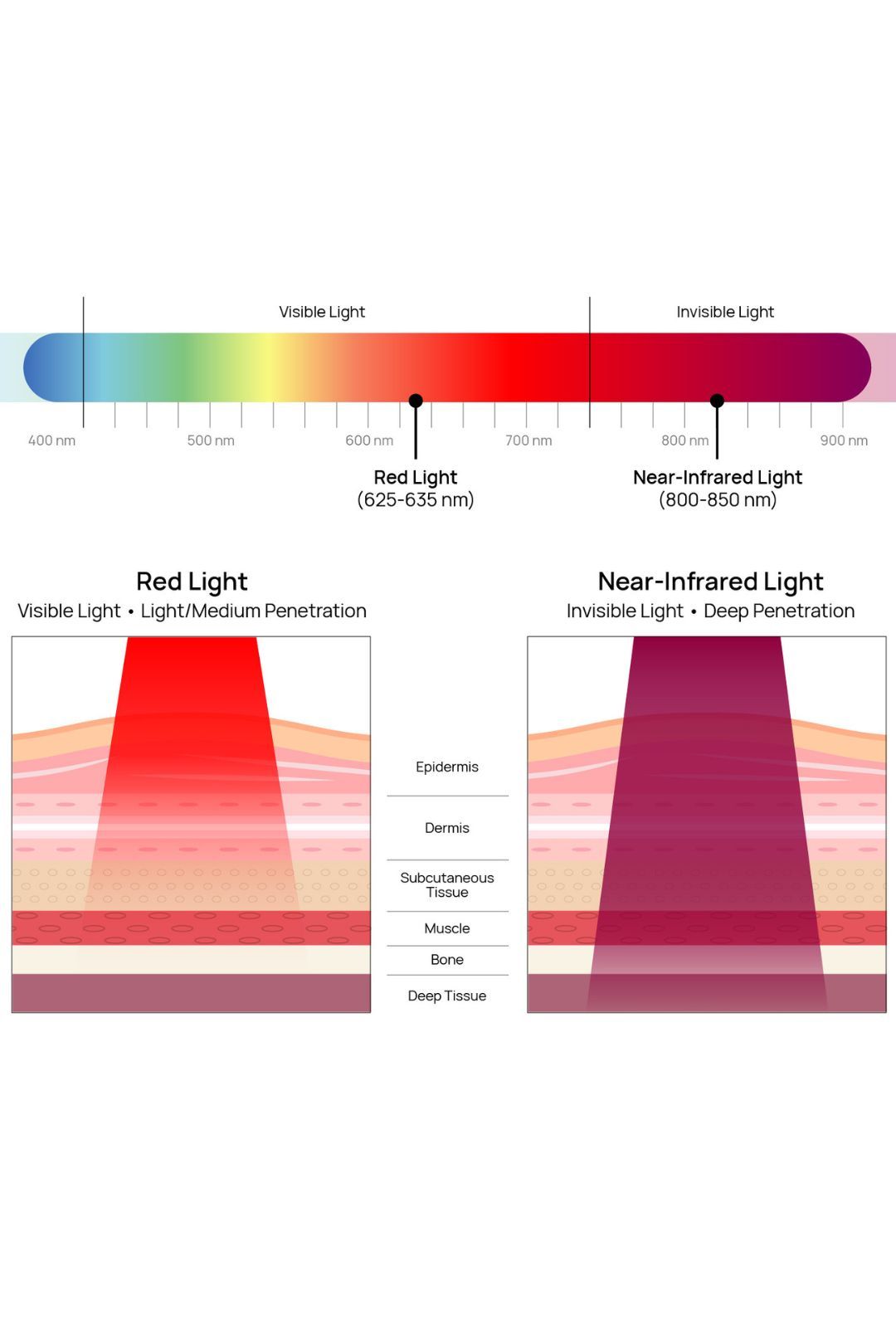 red light and near infrared light