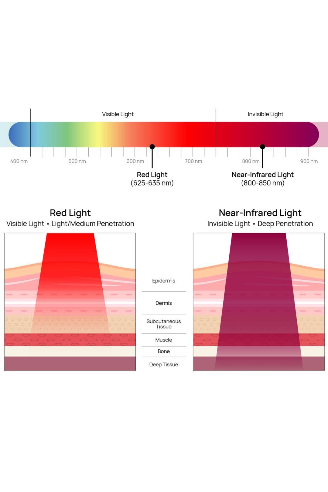 red light and near infrared light