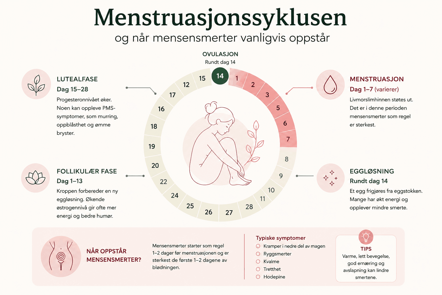 Illustrasjon som viser menstruasjonssyklusen og når mensensmerter vanligvis oppstår.
