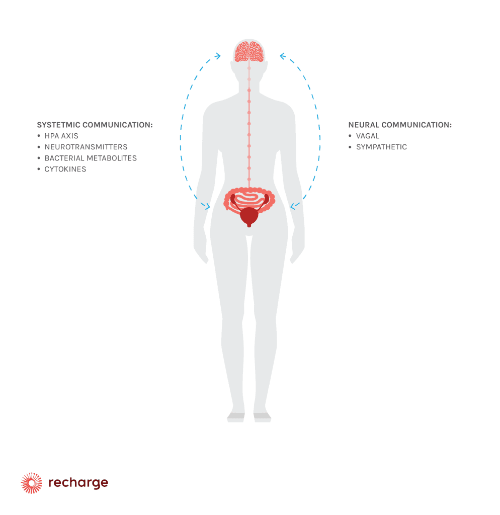 how does gut brain axis work