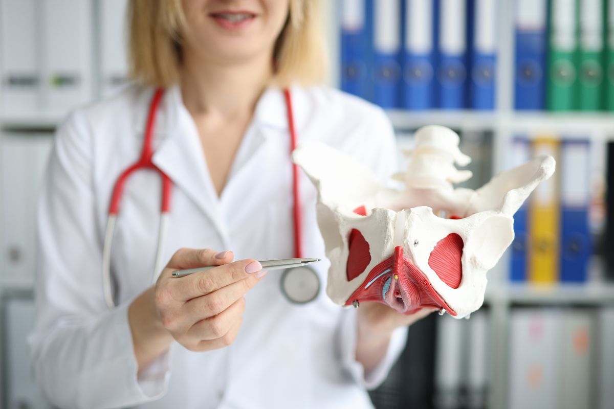 a doctor holds up a medical model for human hips, while pointing to the right side and speaking