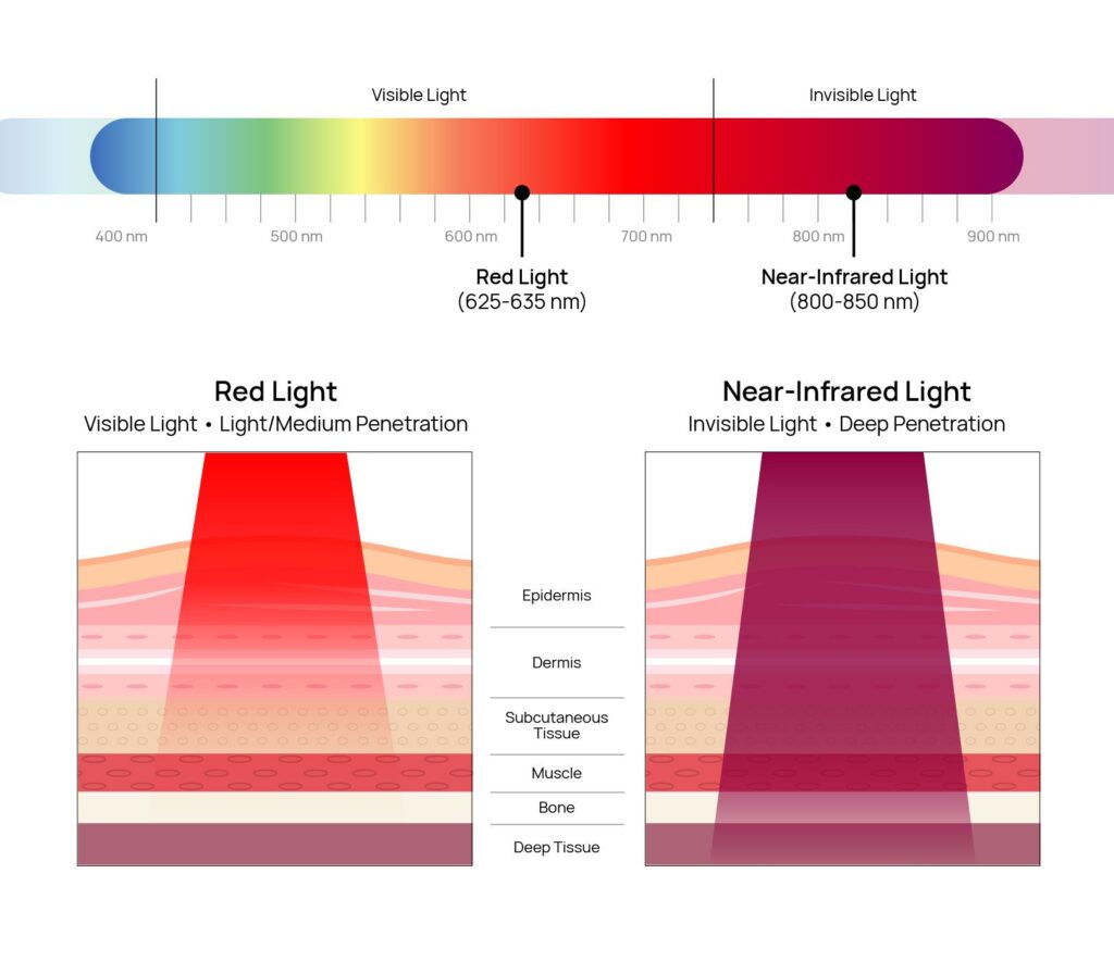 red and near-infrared light therapy effects