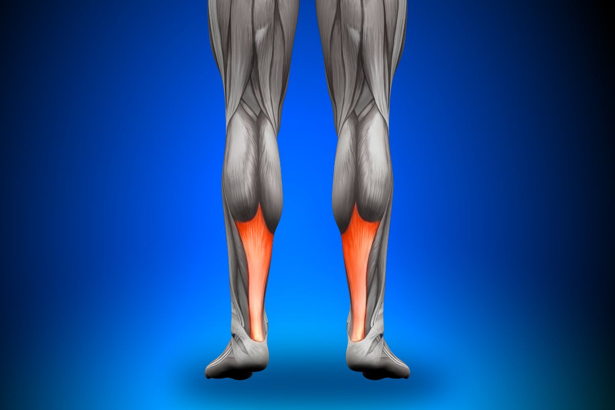 a medical image of the human body with a bluck background, highlighting the achilles tendon in orange