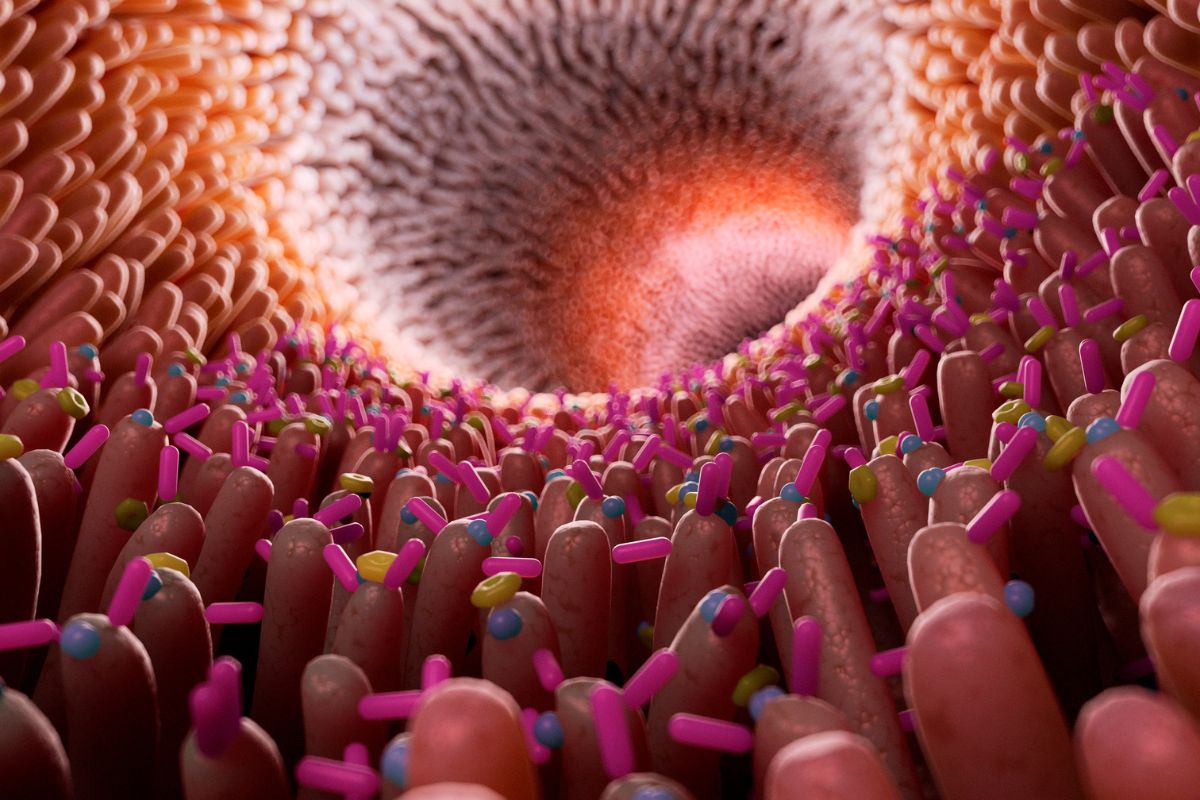 microscopic image of the gut microbiome